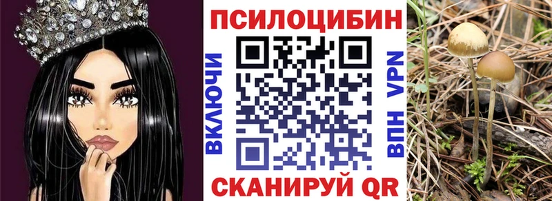 Псилоцибиновые грибы мухоморы  Купить закладки  Зерноград 